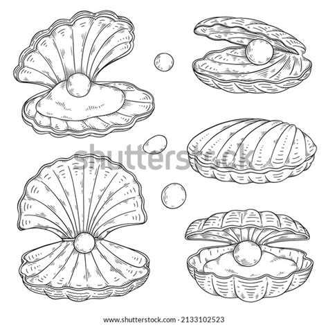 Seashell Pearl Inside Hand Drawn Sketch Stock Vector (Royalty Free) 2133102523 | Shutterstock