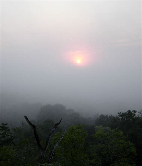 Sunrise from Temple IV, Tikal, Guatemala - June 2011 - Travel Photos by ...