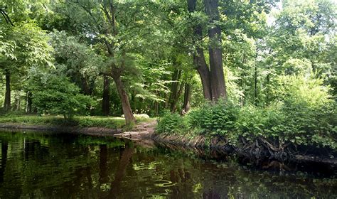 Photos St. Petersburg Russia Nature Parks