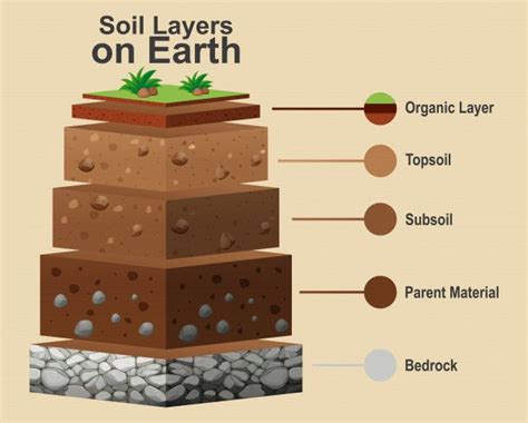 Soil Types Vector Illustration Types Of Soil Science Diagrams | Images ...