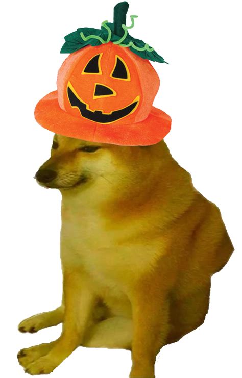 Le Halloween festive Cheems has arrived | /r/dogelore | Ironic Doge Memes | Know Your Meme