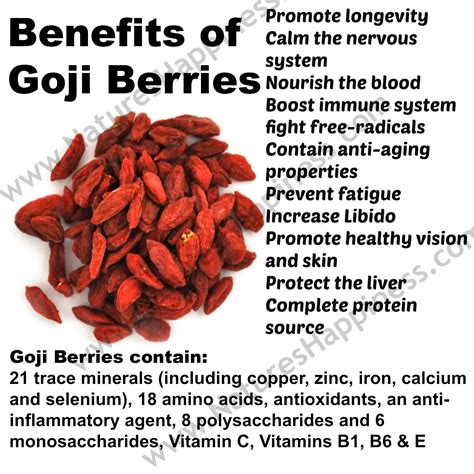 Benefits of Goji Berries | Health & Wellness | Benefits of berries ...