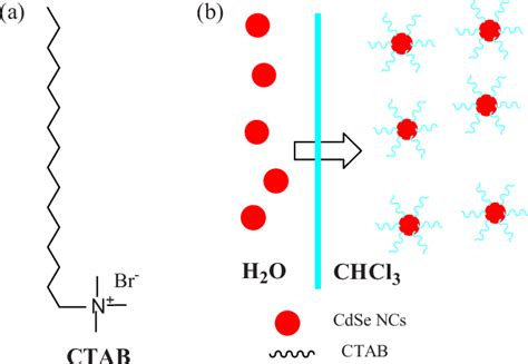 Color online a Molecular structure of the surfactant CTAB and b... | Download Scientific Diagram