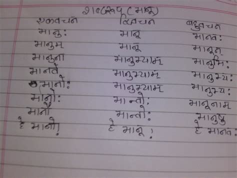 sadhu shabd roop in sanskrit