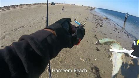 Hameem Beach Fishing session | Fishing in Abu Dhabi | Abu Dhabi shore ...