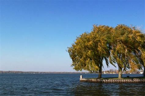 Fox Lake - Illinois | Fox lake, Fox lake illinois, Lake