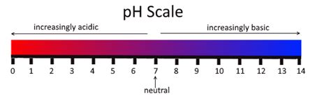 What Is pH? The pH Formula & Equation | ChemTalk