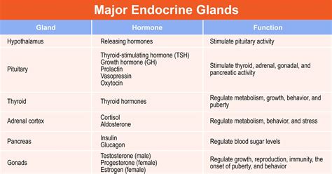 Chapter 5: The Endocrine System