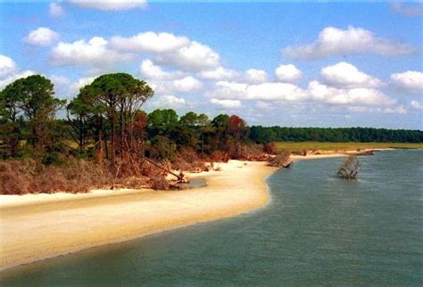 Sapelo Island Beach Georgia | Island beach, Island, Beautiful beaches