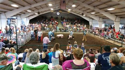 HOME - Fayette County Fair