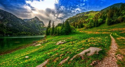 Download Green Lake Tree Mountain Nature Landscape HD Wallpaper