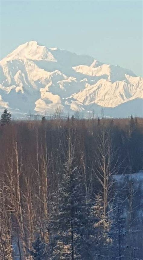 Denali winter morning | Talkeetna alaska, Alaska the last frontier, Alaska