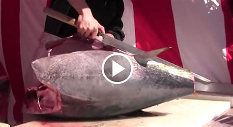 Japanese Tuna Cutting Show by Sword-like Knife | Hocho Knife (Sushi Knife) Official Blog