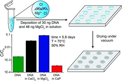 Stabilizing synthetic DNA for long-term data storage with earth ...