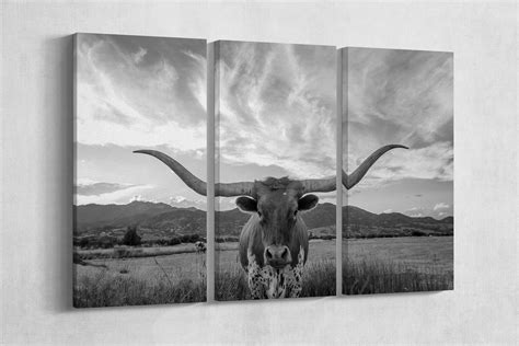 3 Panel Texas Longhorn Steer Black and White Framed Canvas Leather Print