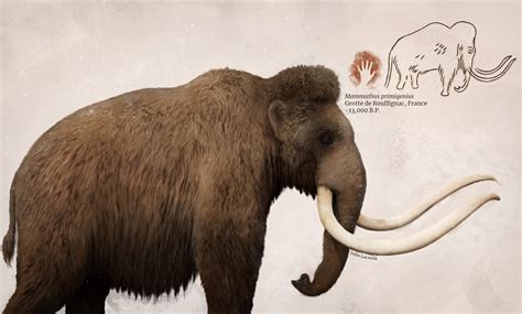 Woolly Mammoth based on a cave painting from the Rouffignac Cave in ...