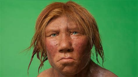 Neanderthal Body Reconstruction