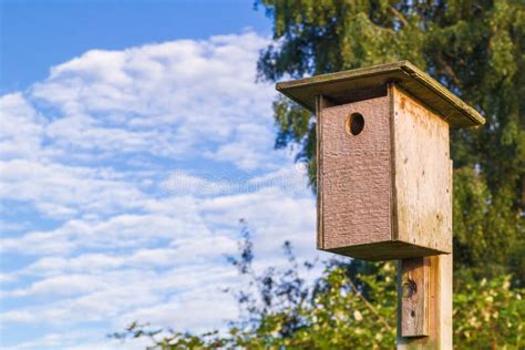 Wooden Starling Bird House, Stock Image - Image of garden, branch: 75155475