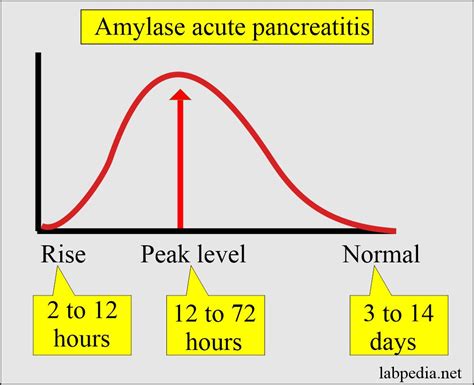 Amylase Serum and Acute Pancreatitis Diagnosis - Labpedia.net