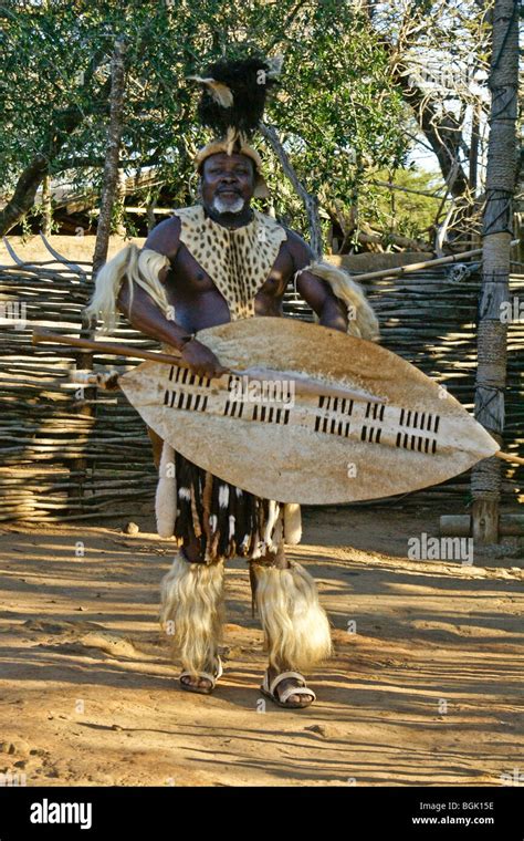 Zulu chief with spear and shield, Shakaland, South Africa Stock Photo - Alamy