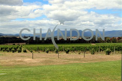 Christine King » Photography, Travel, Lifestyle » DOMAINE CHANDON WINERY, YARRA VALLEY, MELBOURNE