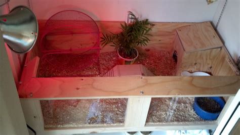 Custom wood working in Orange County!: Hedgehog habitat