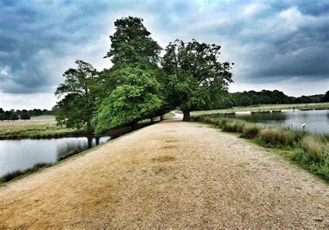 Richmond Park of London. What to see, how to arrive by metro, tickets