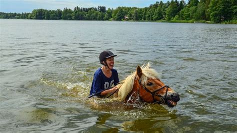 Can Horses Swim? Discovering Equine Swimming Secrets