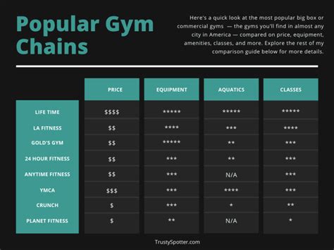 Complete Guide to the Absolute Best Gyms (Reviews & Comparisons) - Trusty Spotter