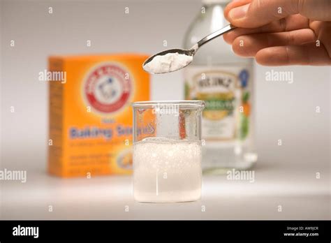 Chemical Reaction of Baking Soda (sodium bicarbonate) and Vinegar Stock Photo, Royalty Free ...