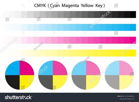 Cmyk Color Palette Wheel Vector Illustration Stock Vector (Royalty Free ...