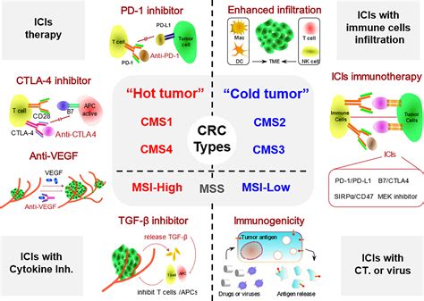 Frontiers | Progress in the Application of Immune Checkpoint Inhibitor ...