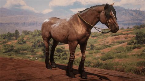 Rare Tiger Striped Mustang Rdr2 Location : Rdr2 Best Horses Locations ...