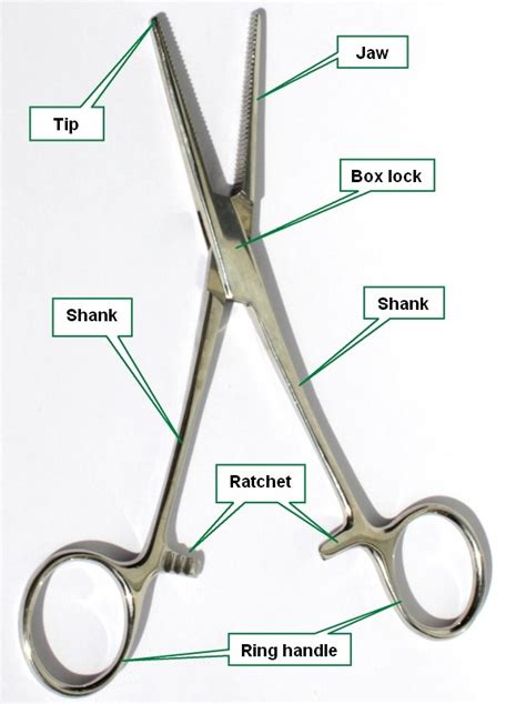 Artery Forceps Types