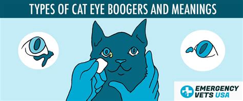 Cat Eye Boogers & Colors | What Do The Different Colors Mean?