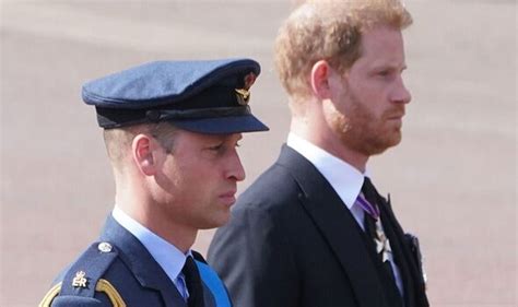 King Charles's birthday photo was 'absolute nightmare' due to Prince Harry and William | Royal ...