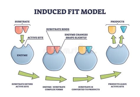 Mechanism Explanation Stock Illustrations – 386 Mechanism Explanation Stock Illustrations ...