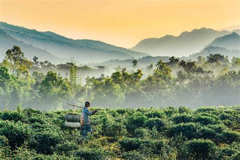 15 Most Beautiful Places in Bangladesh to Visit