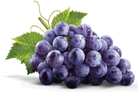 Grape - punnevape