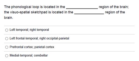 Solved The phonological loop is located in the the | Chegg.com