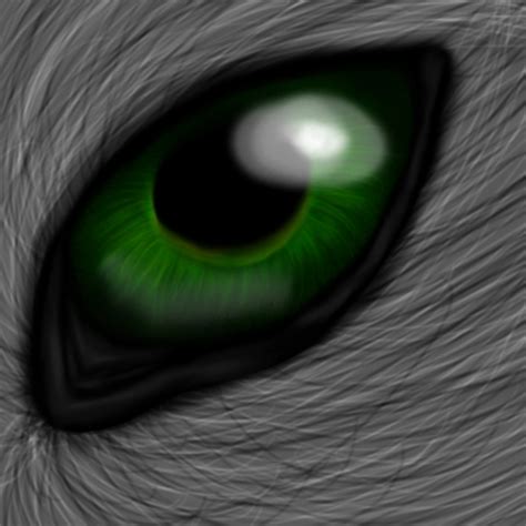 Green wolf eye by simanunan on DeviantArt