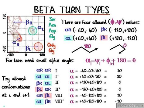 Beta_Turn_Types