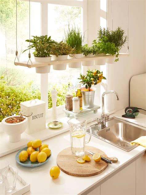 Creative Ways to Make Room for Plants in the Kitchen | Apartment Therapy