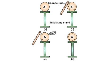 Distinguish between charging by conduction and charging by induction?