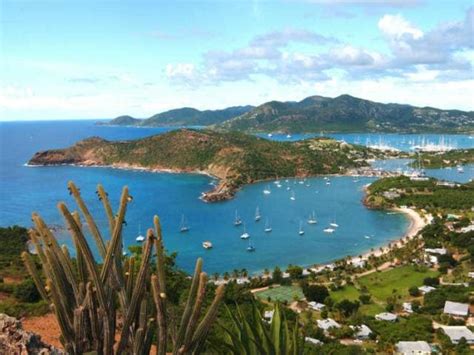 Antigua's Great Bird Island: Secrets to Spotting 10 Tropical Treasures - Princess Cruises