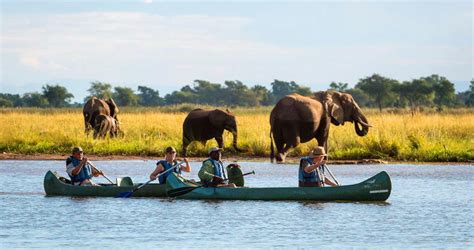 Mana Pools National Park Safari Lodges in Zimbabwe