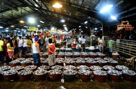 Navotas Fish Port | Fish, Philippines, Port