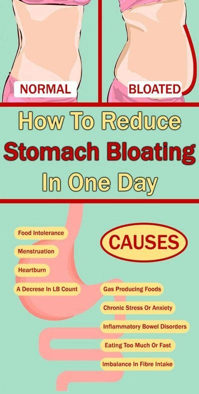 How To Reduce Stomach Bloating In One Day | Reduce stomach bloat ...