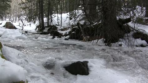 Winter Creek Landscape Shot of Stock Footage Video (100% Royalty-free) 7844089 | Shutterstock