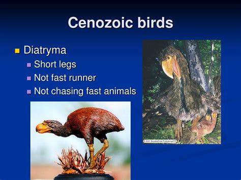 PPT - Life in the Cenozoic PowerPoint Presentation, free download - ID ...